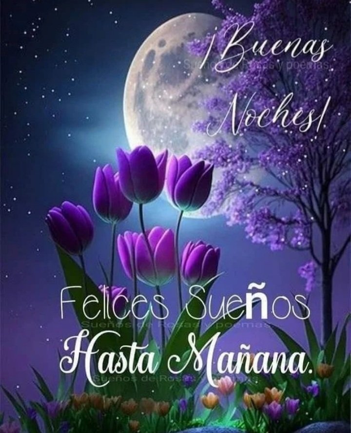 Buenas noches 😘😘