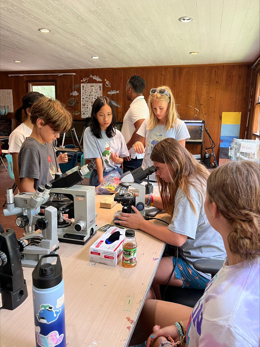 Jill Bramble tweet media