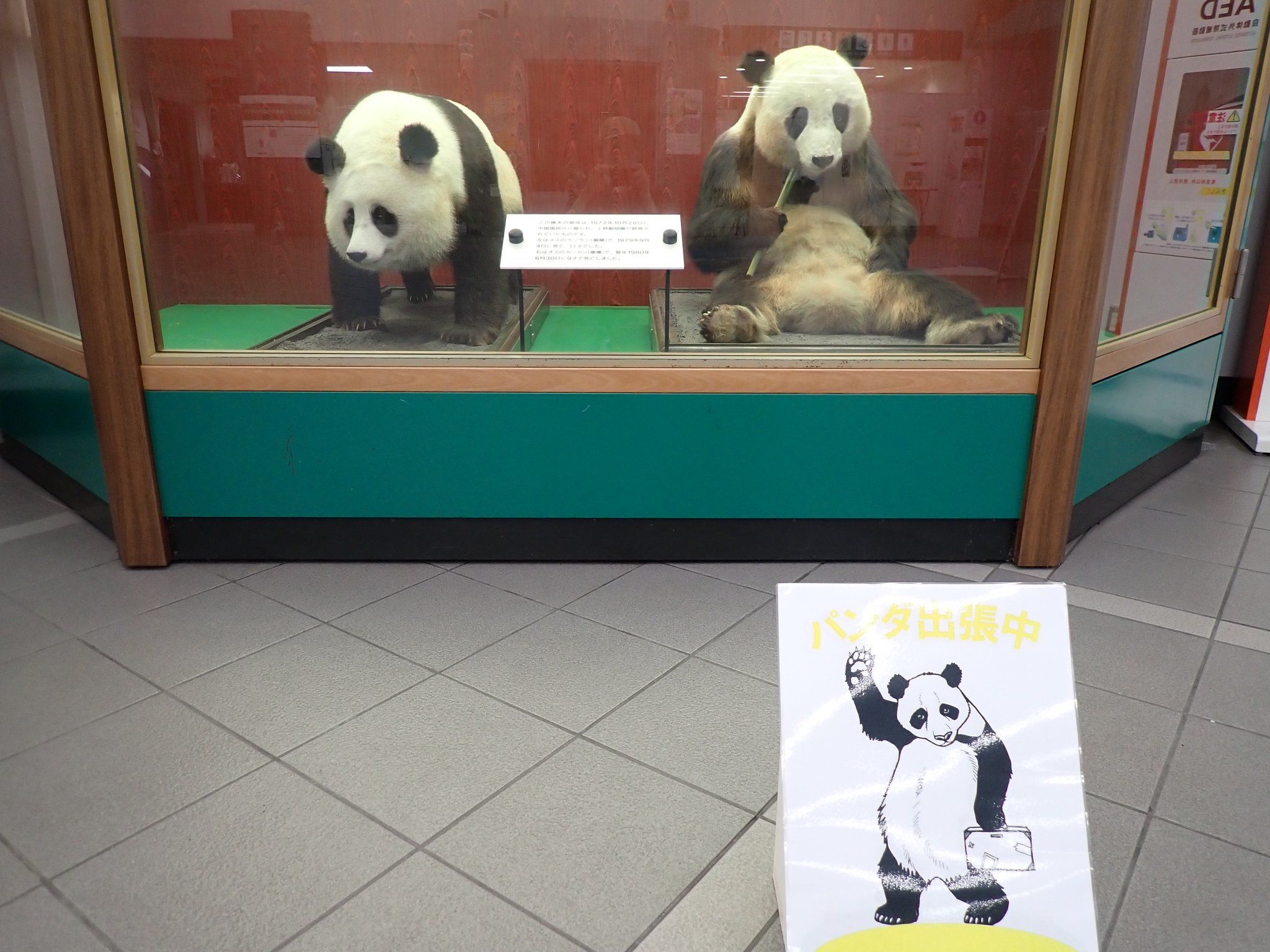 正規激安 F4QbYXLbgAAM0qF.jpg:large 芸術写真