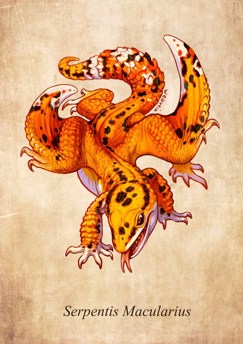 webvein's tweet photo. Leopard dreco https://t.co/tELkJlIpgI
