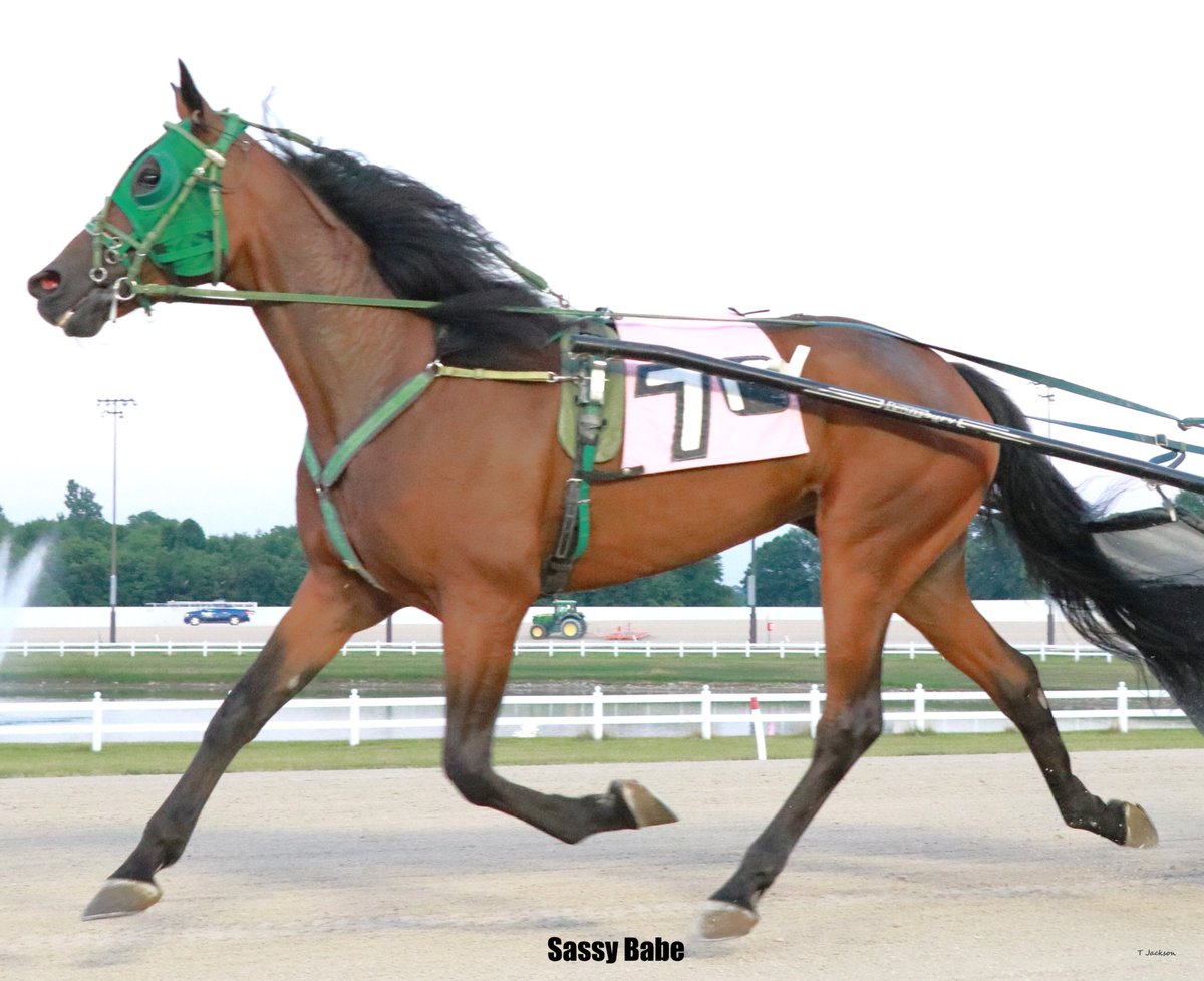hoosiernations's tweet photo. #Double another well timed move by @CarsonConrad15 
Time: 28.2, :58.3, 1:28.4, 1:57.2
#TrainingDouble Charlie Conrad
Cogratulations @_sarah1215 
#TheKid #RaceLikeAHoosier #PlayHP https://t.co/4c6V2HcrvV
