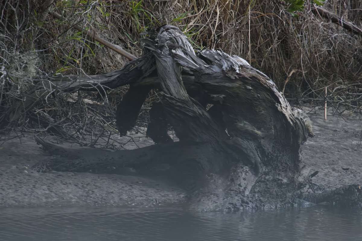 riverguy47's tweet image. Sometimes the river reveals shapes and forms that are intriguing,