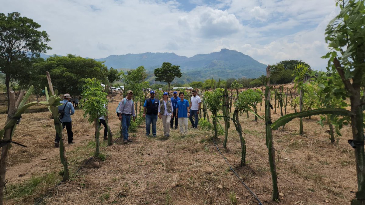fleeohlsson's tweet photo. Today I met communities in the #DryCorridor in #Honduras where @WFP_es is supporting resilience in food security w/ funding from @UEenHonduras . This crucial project allows local farmers to improve farming by cultivating crops that are more resistent. This can be done thanks to the support of @EU_Partnerships !
