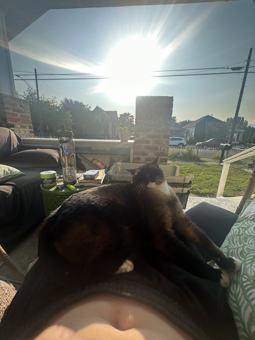 I think my cats can tell I&rsquo;m stressed cause they&rsquo;ve been hanging all over me 😂 https://t.co/ocTtfBCE