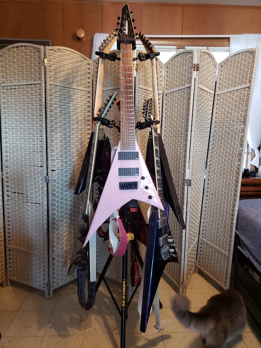 Fishnuggets1's tweet photo. @JacksonGuitars, how about a production 8 string Rhoads? You can use mine as a prototype. It plays wonderfully! #ItsInMyBlood https://t.co/gidfY09YSv
