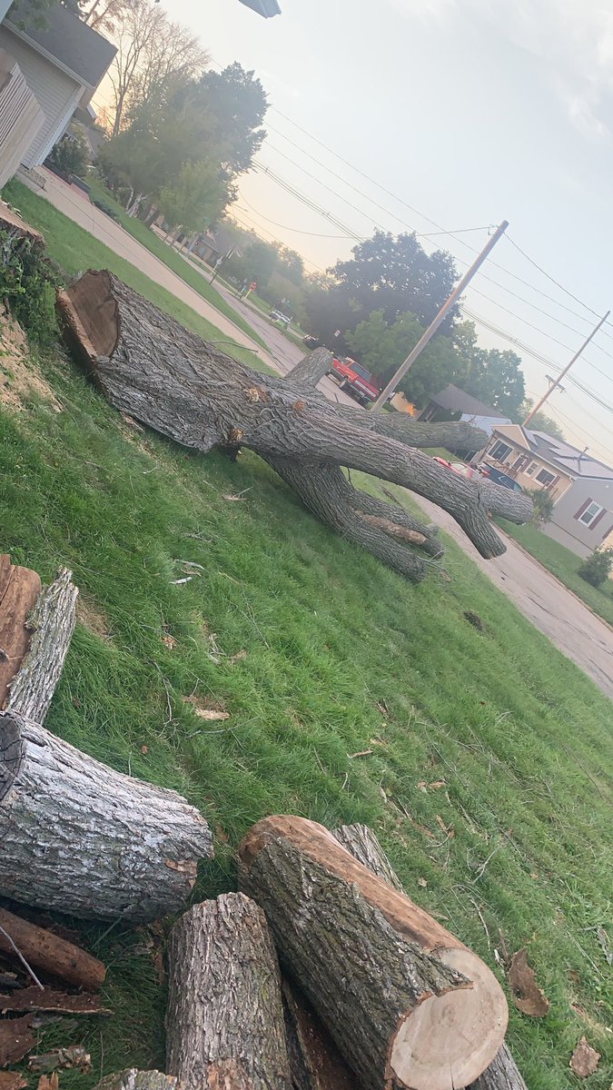 marilynfiser's tweet photo. Guys when I tell you I felt a weight lift off my chest when he pulled the tree down….is worth being broke https://t.co/pbbCQ83Vir