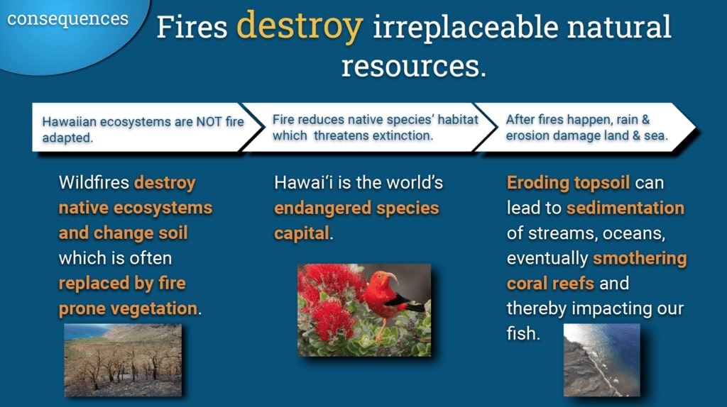 HawaiiWildfire's tweet photo. Pacific Fire Exchange is a joint program of Hawai'i Wildfire Management Organization and the University of Hawai'i at Manoa, concentrating on the wildfire circumstances that affect the unique Pacific island landscapes.
https://t.co/G8OrIaFmjR
#HWMO #PFX #Wildfire https://t.co/h6QnkKCvg1