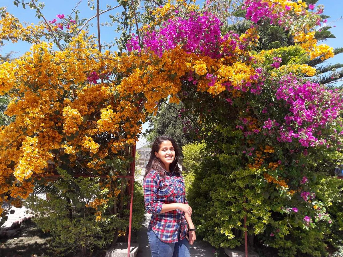No doubt this flower look great but.. 
What about me😁🥹