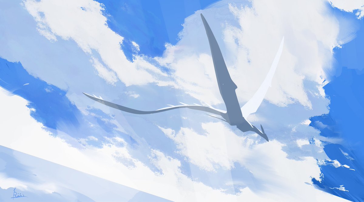 「雲を抜けて」|Rii2(ﾘﾂ)｜TMA 🦁のイラスト