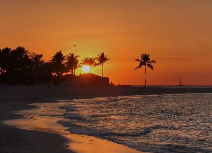 feelsinposts's tweet photo. sunset therapy https://t.co/JlbYPe2E54