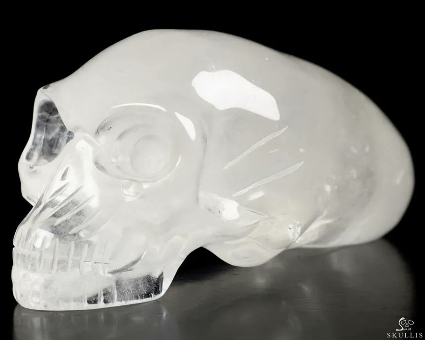 south_based's tweet image. Would you trust a president with a skull like this?