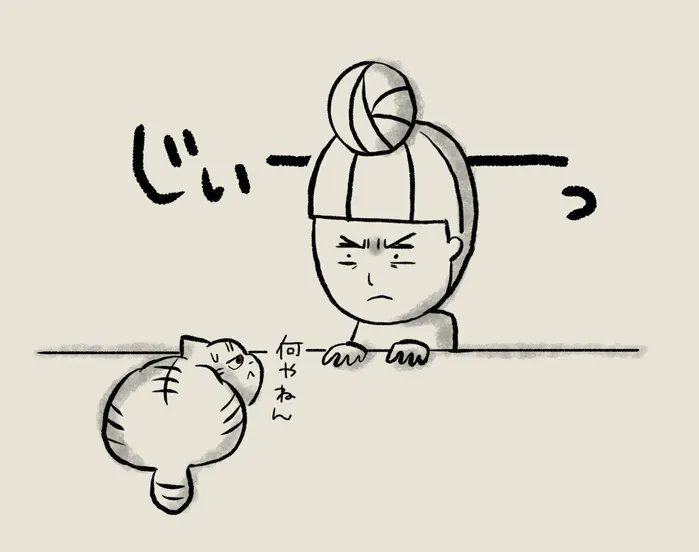 年齢はおおよその推定となる保護猫。正確な年齢はわからずとも、元気に長生きしてね【連載】交通事故にあった猫を拾いました#126|ねこのきもちWEB MAGAZINE 