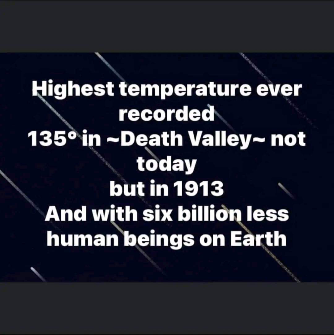 NetiYeti's tweet image. 