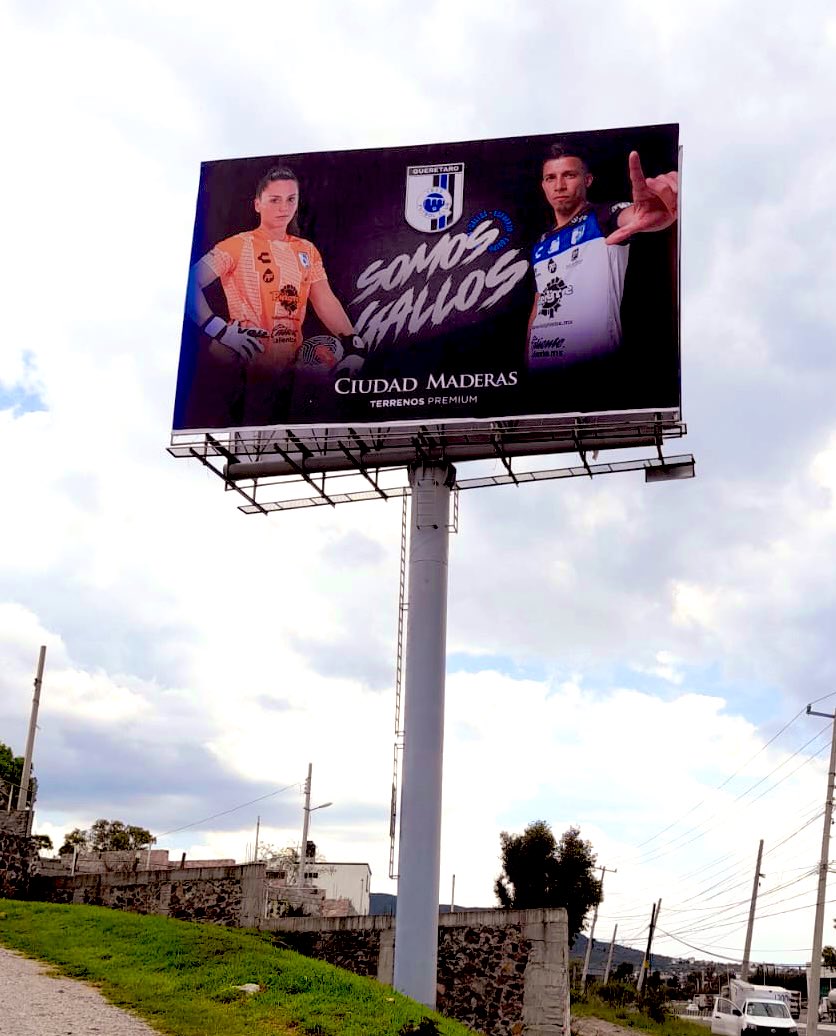 slvital17's tweet photo. Somos Gallos 🐔 https://t.co/y05w4trhft