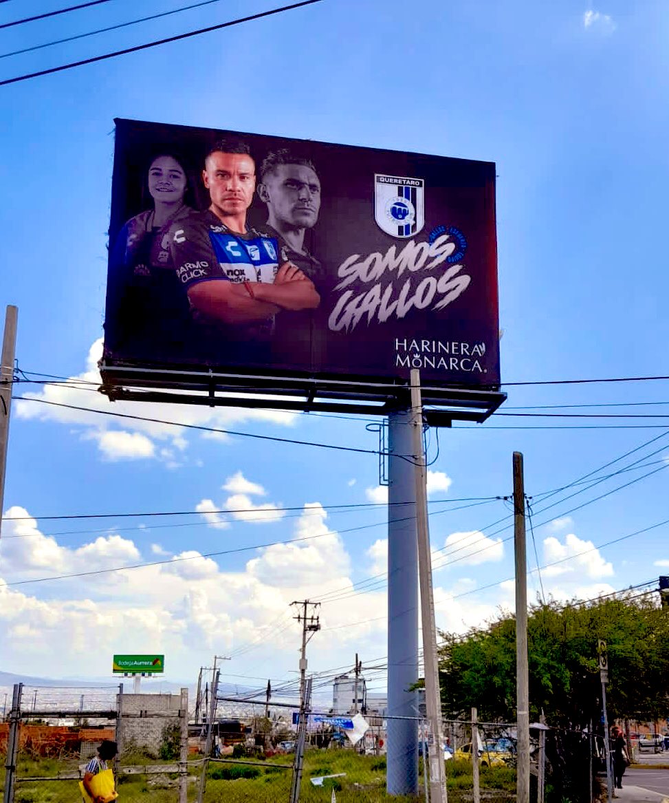 slvital17's tweet photo. Somos Gallos 🐔 https://t.co/y05w4trhft