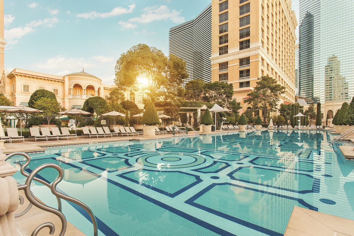 crystal_h2022's tweet photo. 5 nights in Las Vegas $1,810.00 per person based on double occupancy 11/21-11/26/23
For more information text "Vegas" to 701-389-8883 or email crystaldhage@gmail.com 
**Price subject to change and availability 

#vacation #travel #Vegas #nightlife #dancingwater #crystalstravels https://t.co/wJ4p9MAwtF