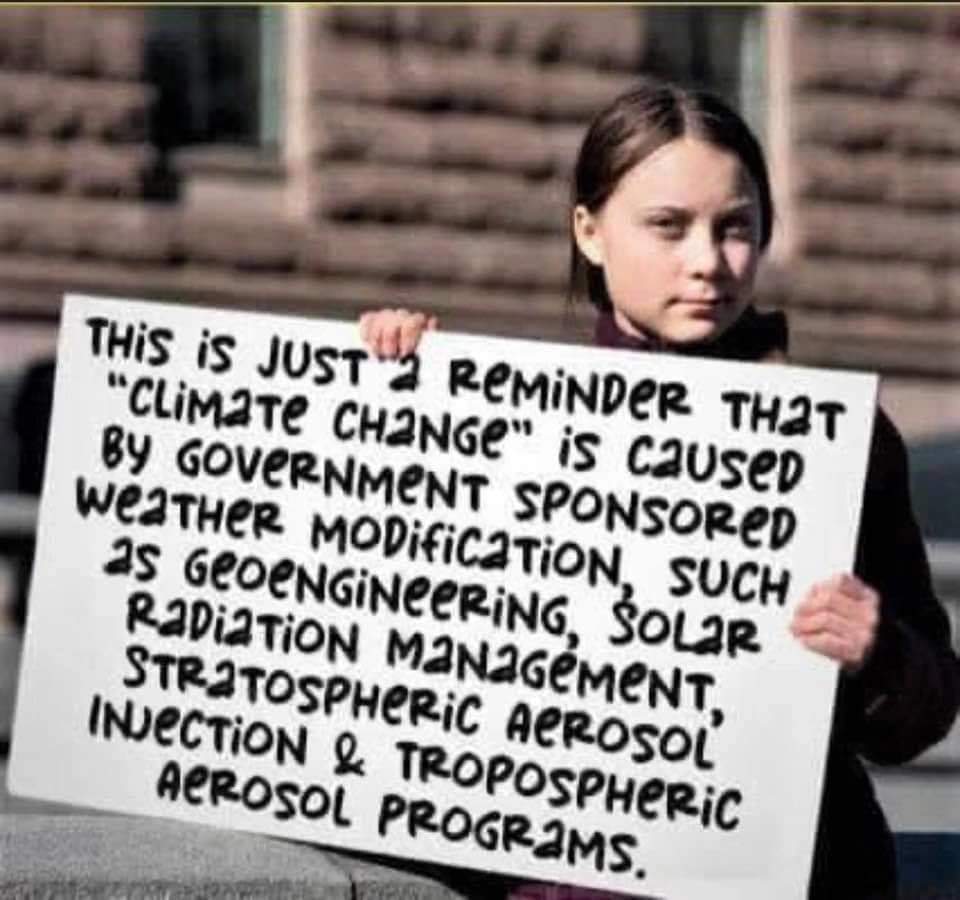 NetiYeti's tweet image. 