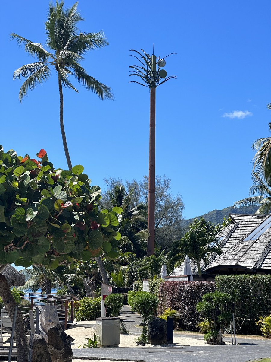 Not the best camouflaged phone mast