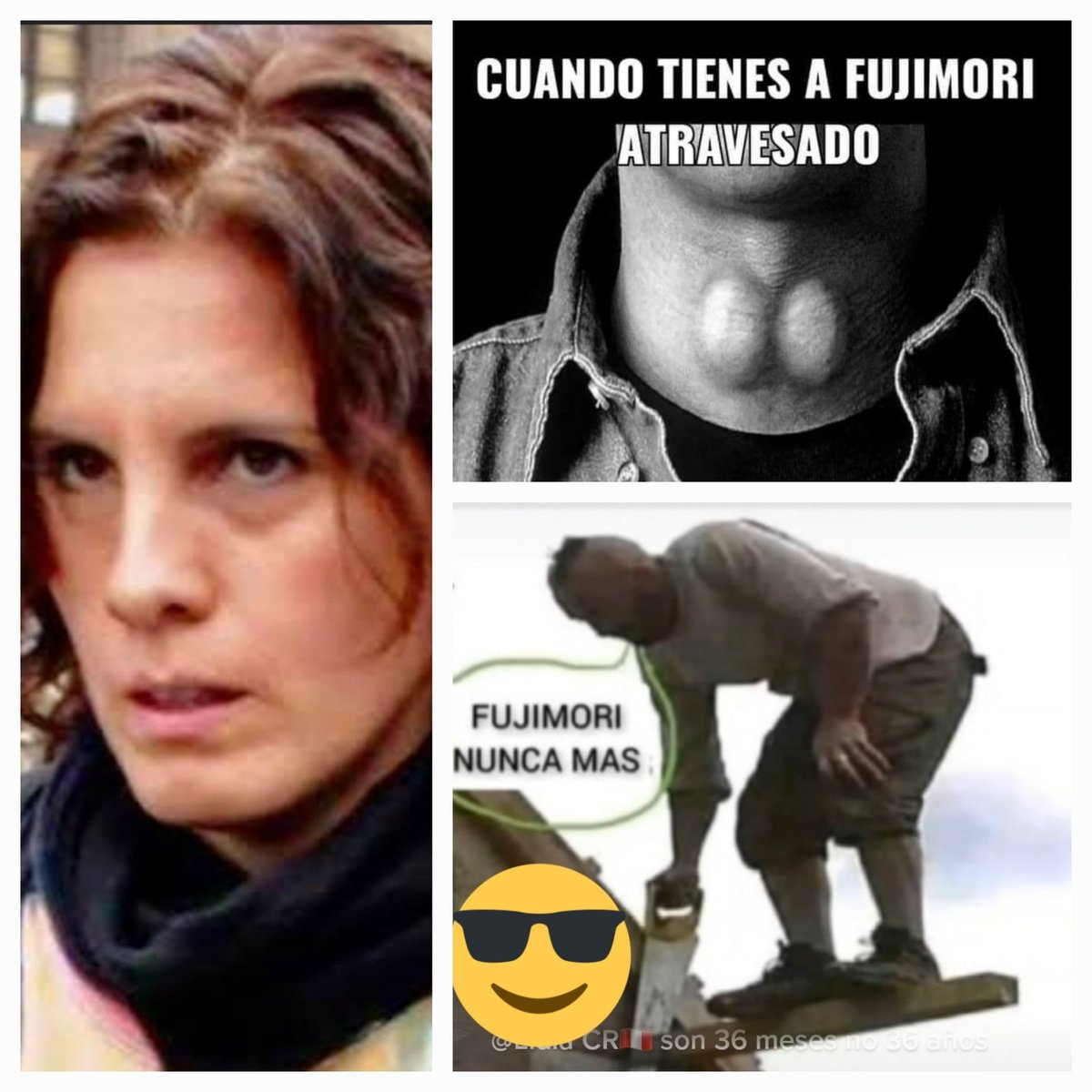 El antifujimorismo nos trajo a :
Un choro sagrado 
Un cachaco sacolargo 
Un viejito lobbysta 
Un lagarto
Un morado fan d MRTA 
Un burro de presidente .
Dicho esto el antifujimorismo no es un sentimiento, es un padecimiento psicológico incurable por desgracia,vamos vengan d a 1.