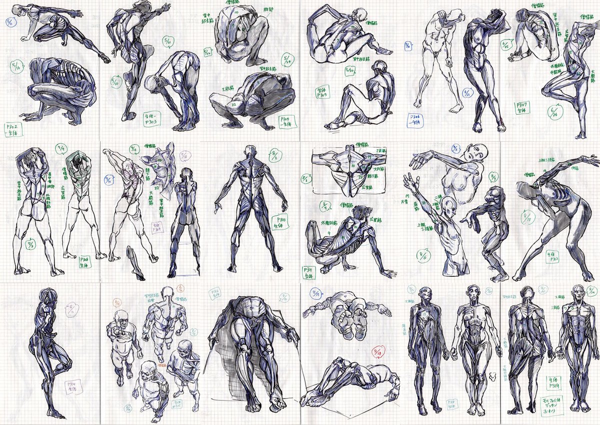 朝活でやっていたモルフォ人体デッサンのスケッチ、ノート4冊を費やして全ページ終わり。りあえず全部スケッチしてみて、始める前よりむしろ人体の複雑さを痛感したので、気になるところ、苦手なところを中心にもう少し続けていきたい。 