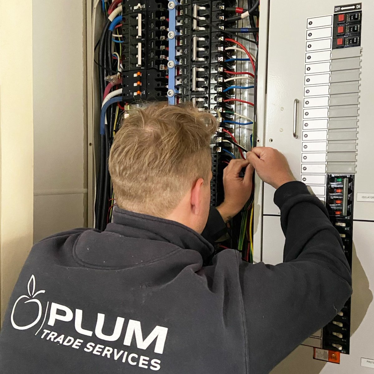 Plum Trade Services (@Plum_TS) / Posts / X
