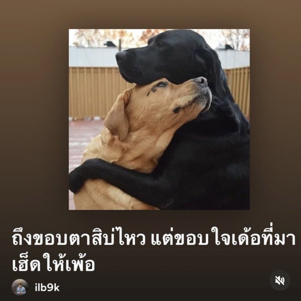 เพลงนี้เพื่อเธอ tweet media