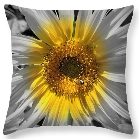 Angel617Liz's tweet photo. https://t.co/FD8AHqhy52
🌻#SunflowerCollection #ThrowPillow #Nature https://t.co/HtAgYIDcbX