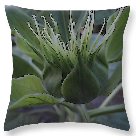 Angel617Liz's tweet photo. https://t.co/FD8AHqhy52
🌻#SunflowerCollection #ThrowPillow #Nature https://t.co/HtAgYIDcbX
