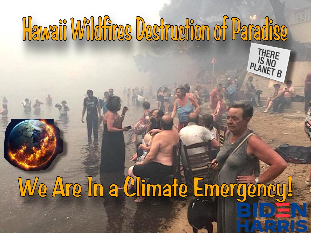 #ClimateChangeIsReal #HawaiiWildfires there are over 1,000 people still missing. Tell the people of #Lahaina that they're not in a #ClimateEmergency #GOPClimateDeniers #VoteBlue2024