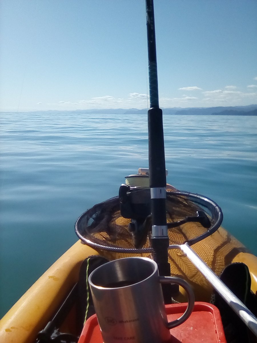 transparency_a1's tweet photo. Flat as in the BOP. #fishfortea https://t.co/Y6nRfNvrkX