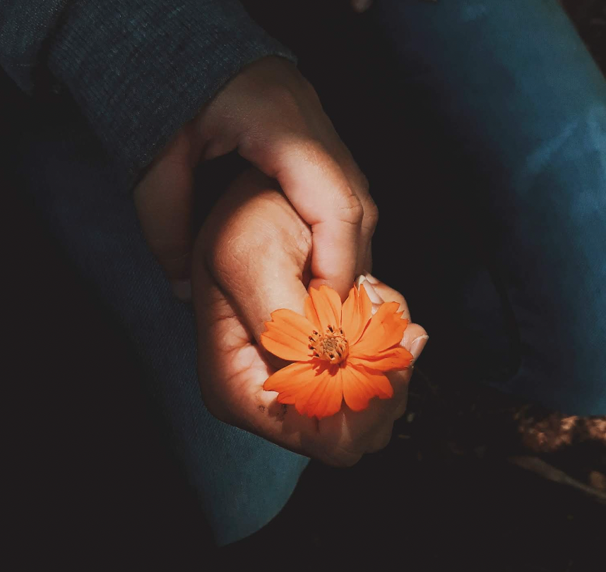 HaikuDarling's tweet photo. Gentle whispers bloom, 
Hearts entwined in tranquil love, 
Peace in every breath.

This is what love is like. 

#poetry #senryu #micropoetry #love #haiku #poem 

Photo by Raphael Brasileiro from Pexels 
https://t.co/TFaH5b39fj https://t.co/bHpjhNkooy