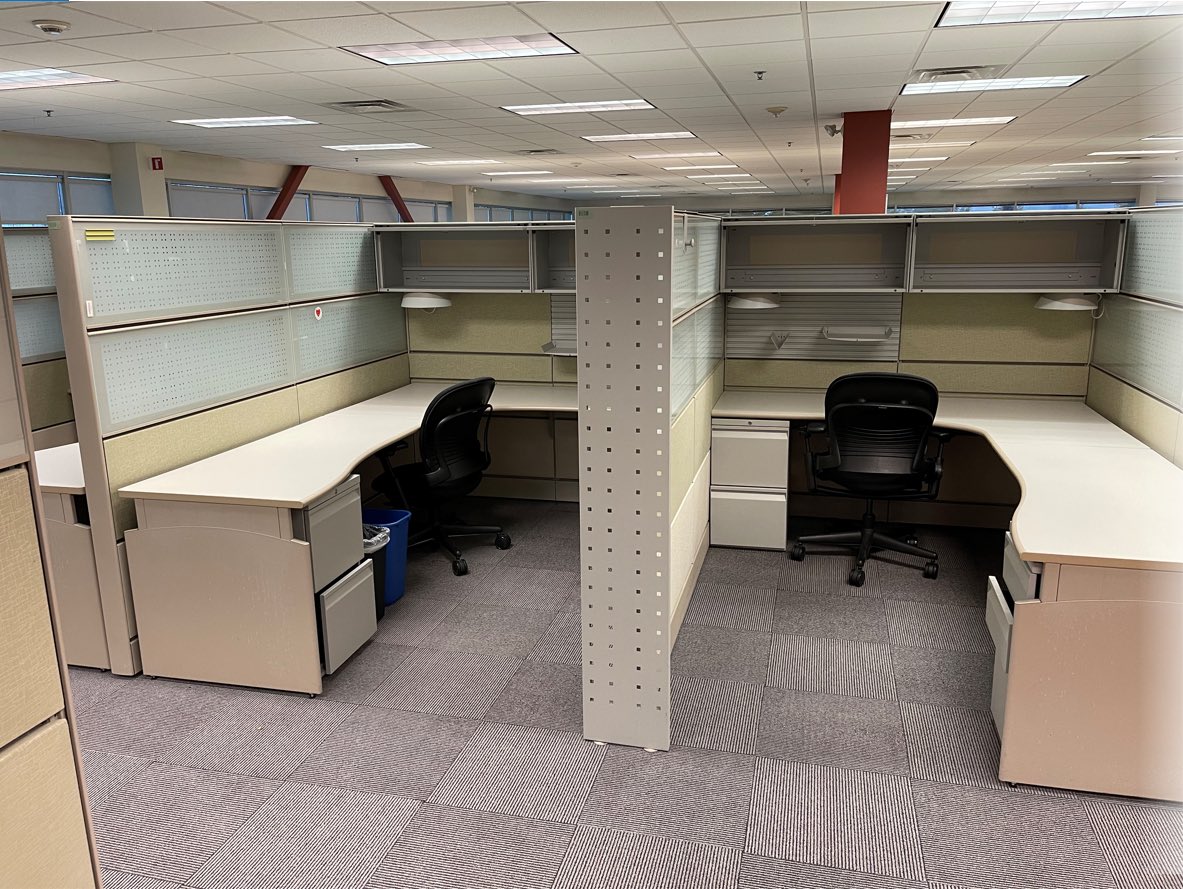 patagucci perf papi tweet media