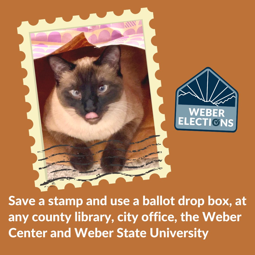 WeberElections's tweet photo. Save a stamp this election and drop your ballot off at a secure ballot drop box. Located at any city office, county library, the Weber Center and Weber State University.
#weberelections #utahelections #votebymail #votebydropbox #saveastamp #cats https://t.co/yNN71Z9iAF