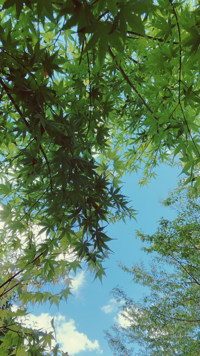 toc_gijutsu's tweet photo. #赤坂営業所 です。

夏休み最後まで暑い日が続きそうですね🥵🥵🥵
動くとすぐに汗が出て
動く気力が失われますよね😭😭😭
でもそんな中、制作の方たちは動き出しているようで
作業の予約や持込が増えてきています😀😀😀

こちらも暑さに負けず
ガンバリマス❗️❗️❗️

#夏休み
#暑い日 https://t.co/Gp8jUYm2Xc