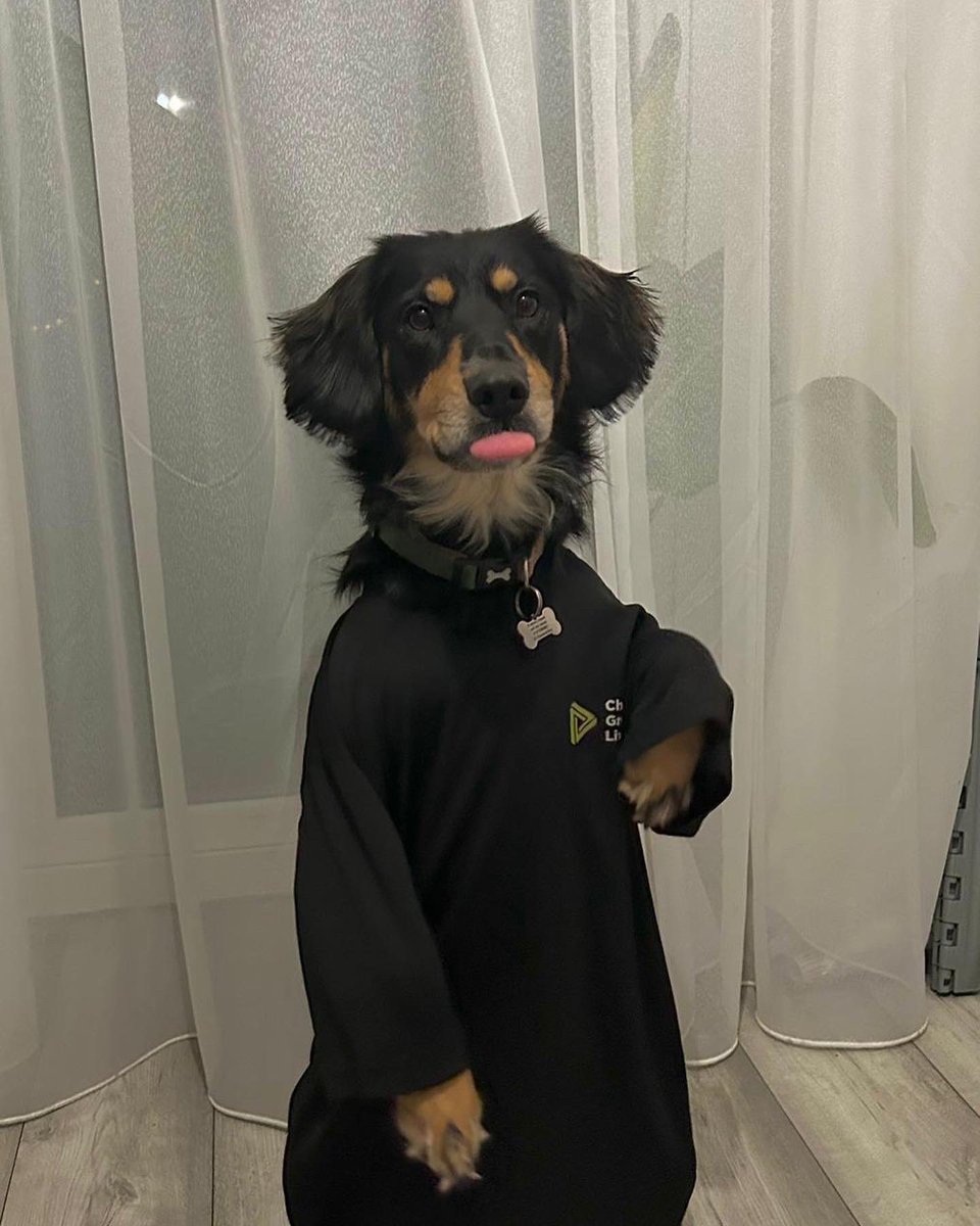 Ft our mascot, Benji sending all the luck and positive energy to everyone getting their results today 🐾❣️

#GCSEResults #Mascot #FutureCruftsChamp