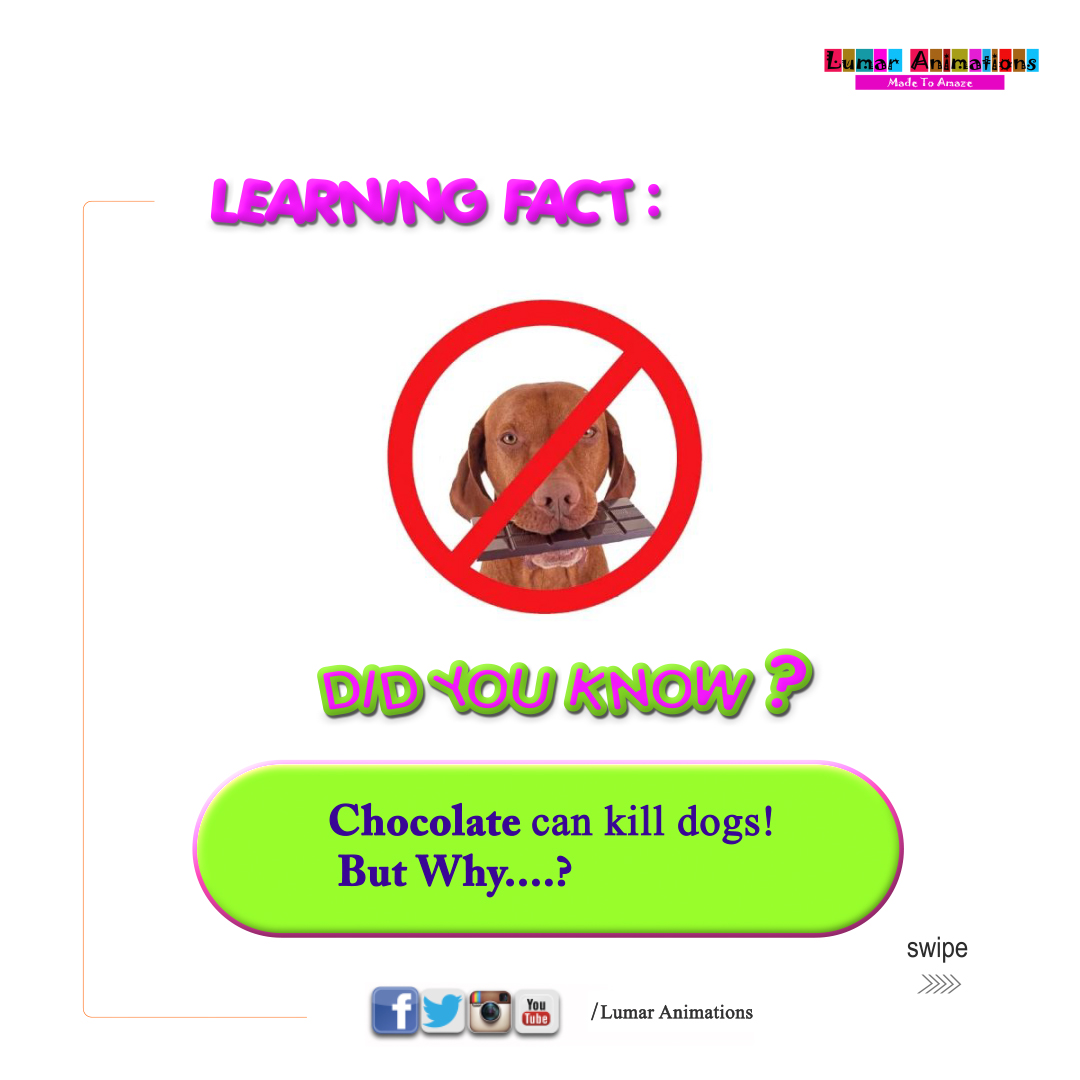 lumarlearning's tweet photo. Fun learning fact: Did you know the word Chocolate can kill dogs?🤔

Wanna know why? Click the thread👇 

 #learningfact #lumarlearning #elearning #ECD #parenthood #children #parentingtips #parentsbelike #ABCToon #eduquotes #education #kidsbooks #homeschooling #study https://t.co/O1kHM6jwkb