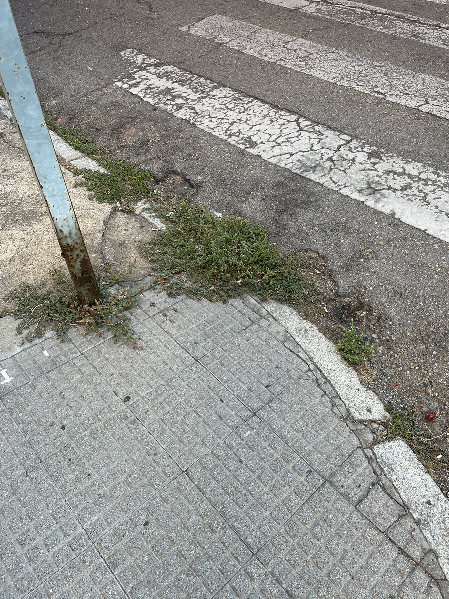 daniblanco68's tweet photo. La verdad es que en León podemos presumir de tener muchas “zonas verdes”. Y para muestra un botón 🤦🤦 https://t.co/xg6pmU29TH