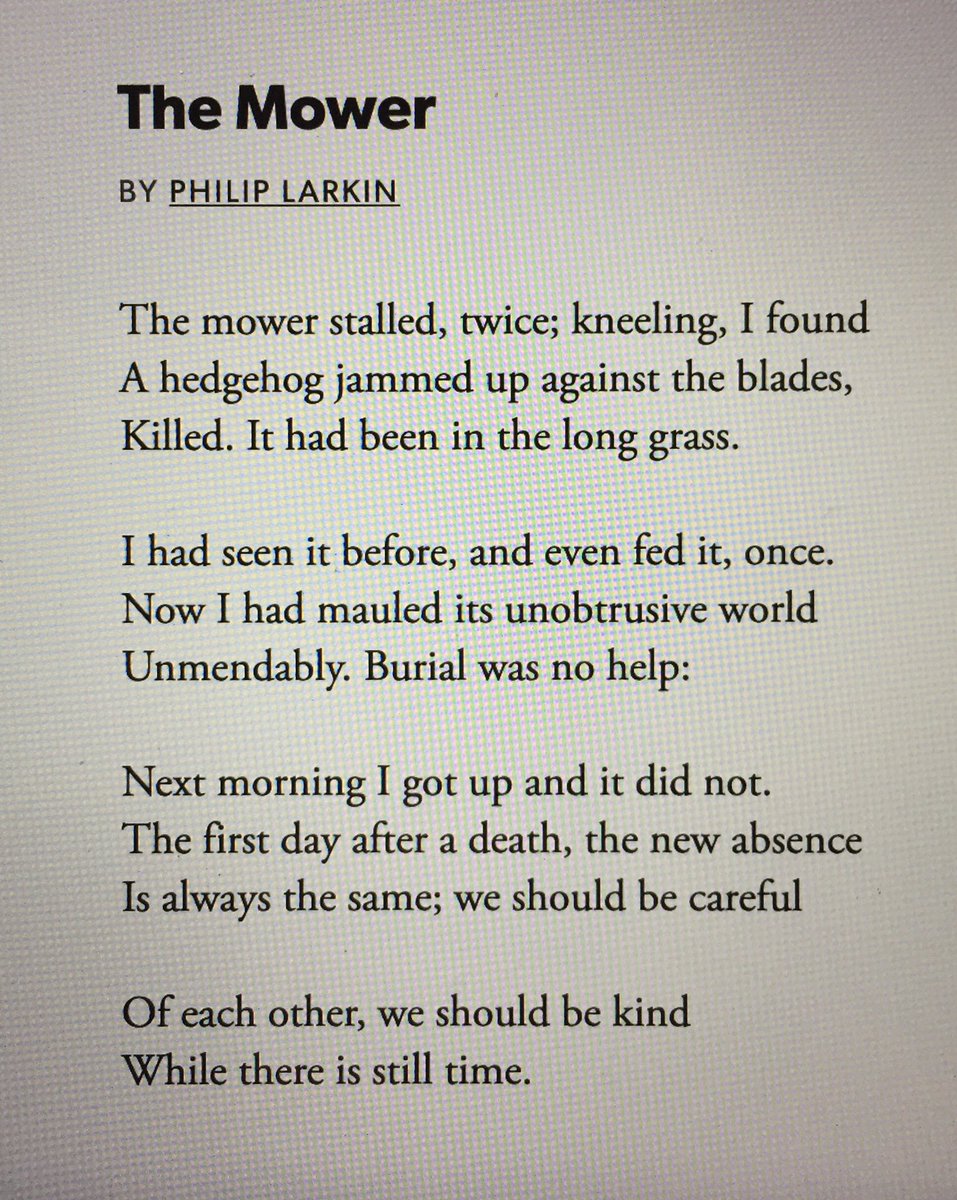 First time I’ve ever read this and it really got me, right in the gut.