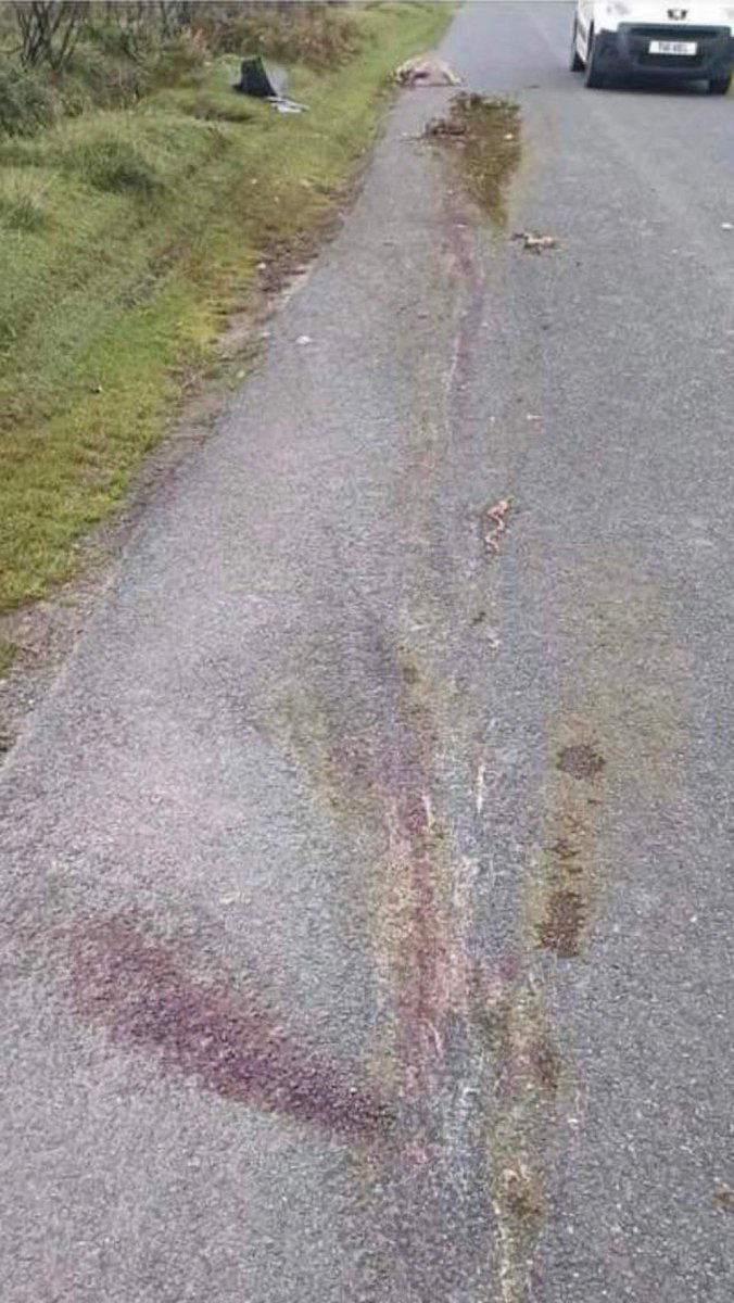 GowerAction's tweet photo. Incident 32
23/08/23
Approx 7pm
Ryers Down common Llanmadoc.
The pictures are very disturbing and the debris left at the scene is of a silver vw. 
If anyone has any information regarding this accident pls message us in confidence or pls contact South Wales Police. https://t.co/n57UaNasLn