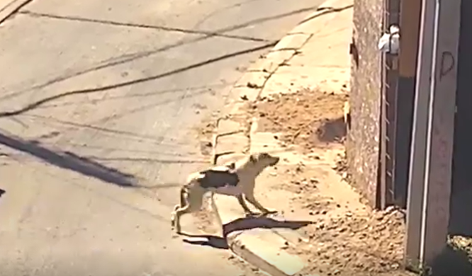 Focus and determination
youtube.com/watch?v=vvkkhv…
#startup #technology #business