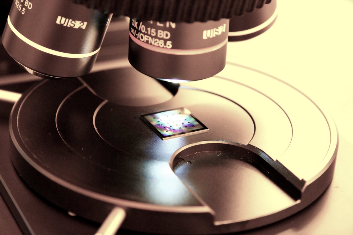 Superconducting Qubits and Algorithms Conference tweet media