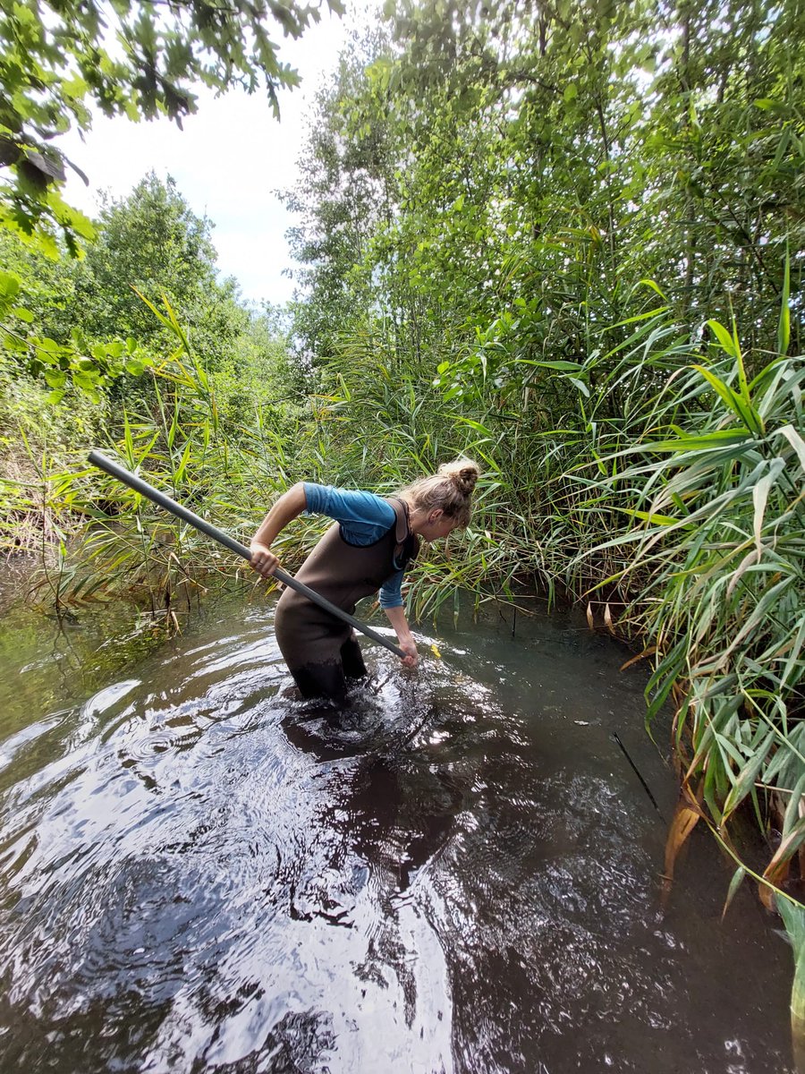 dpamersfoort's tweet photo. Deze week is het Wereld Water Week! 💧 Daarom staan wij stil bij het rijke waterleven in ons land. Wil je weten hoe wij al het water schoonhouden en zorgen voor een fijne plek voor alle waterbewoners? Dat ontdek je in onze nieuwste blog. 👇
https://t.co/YPIoDNXWAL https://t.co/9Y2wdd9pZW