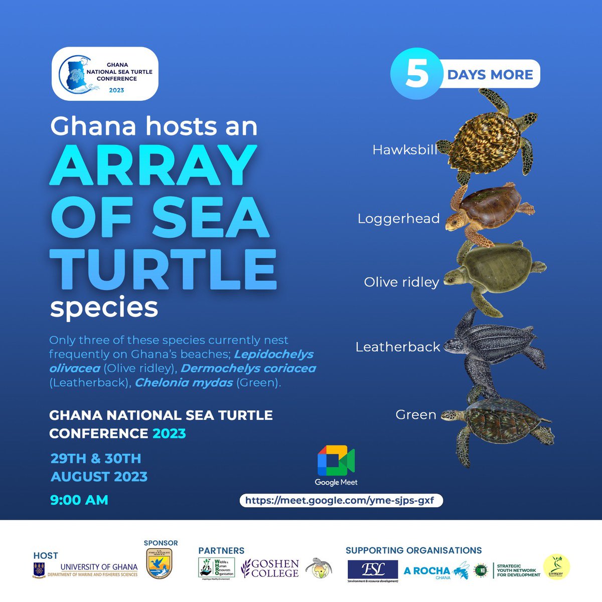 5️⃣ more days to go🚀
Do you want to learn more about the #seaturtle in #Ghana?
Register and join us on the 29th and 30th of August 2023 for the 2nd Ghana National Sea Turtle Conference 2023.
Link: forms.gle/xpMgYiGVPaJfeY…
#SeaTurtleConferenceGH #MarineConservation #SaveTheTurtles