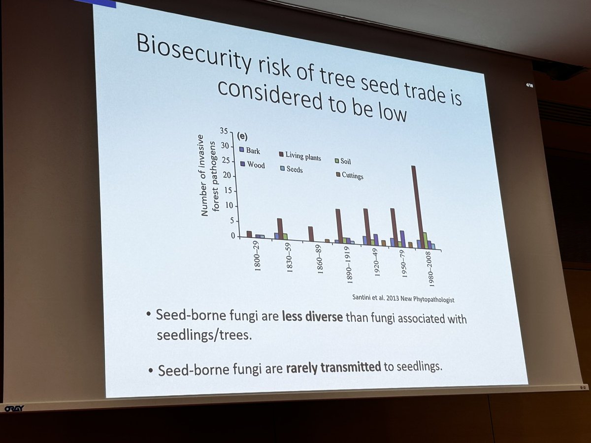 IsppSeed's tweet photo. #ISPP #Seed #Pathology #session at #ICPP2023 on #seed #microbiome: Iva #Franic #talk on #microbiome of #forest #seeds https://t.co/Nbpp1levQ7