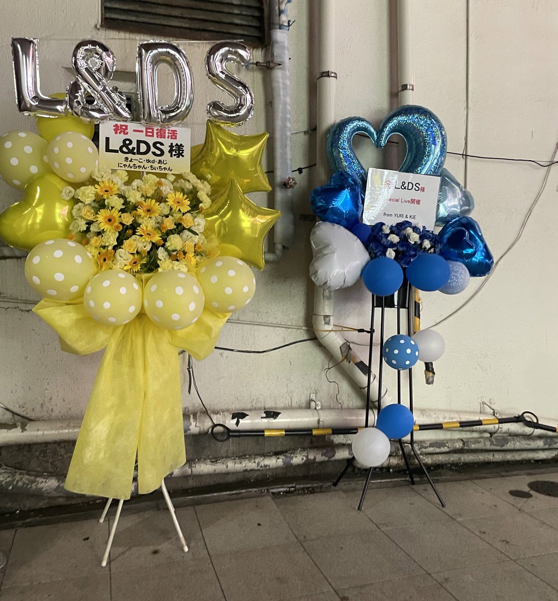 lds_official_'s tweet photo. 2023.8.16 L&amp;DS LIVEには素敵なお花が届いておりました！
Lovers 、そしてファンの皆様ありがとうございました！🌻 https://t.co/FlJv6KcfVb