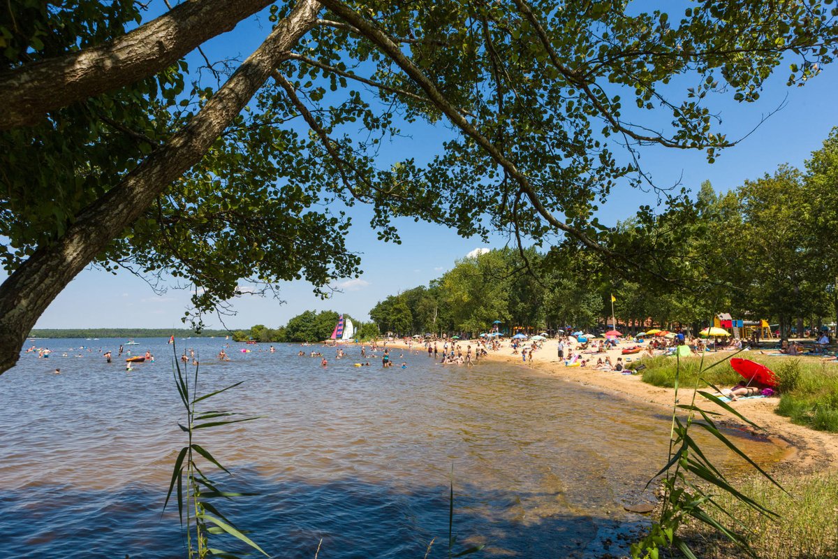 Il fait chaud, très chaud 🥵♨️ 
On vous liste 3 lacs pour se baigner et se poser sur la serviette à l'ombre des pins 🌲

1 - Le lac de Cazaux-Sanguinet
2 - Le lac d'Hossegor
3 - Le lac de Léon

📸Photo lac de Léon ©Jean-Eric Descombes

#JeudiPhoto #tourisme #landes