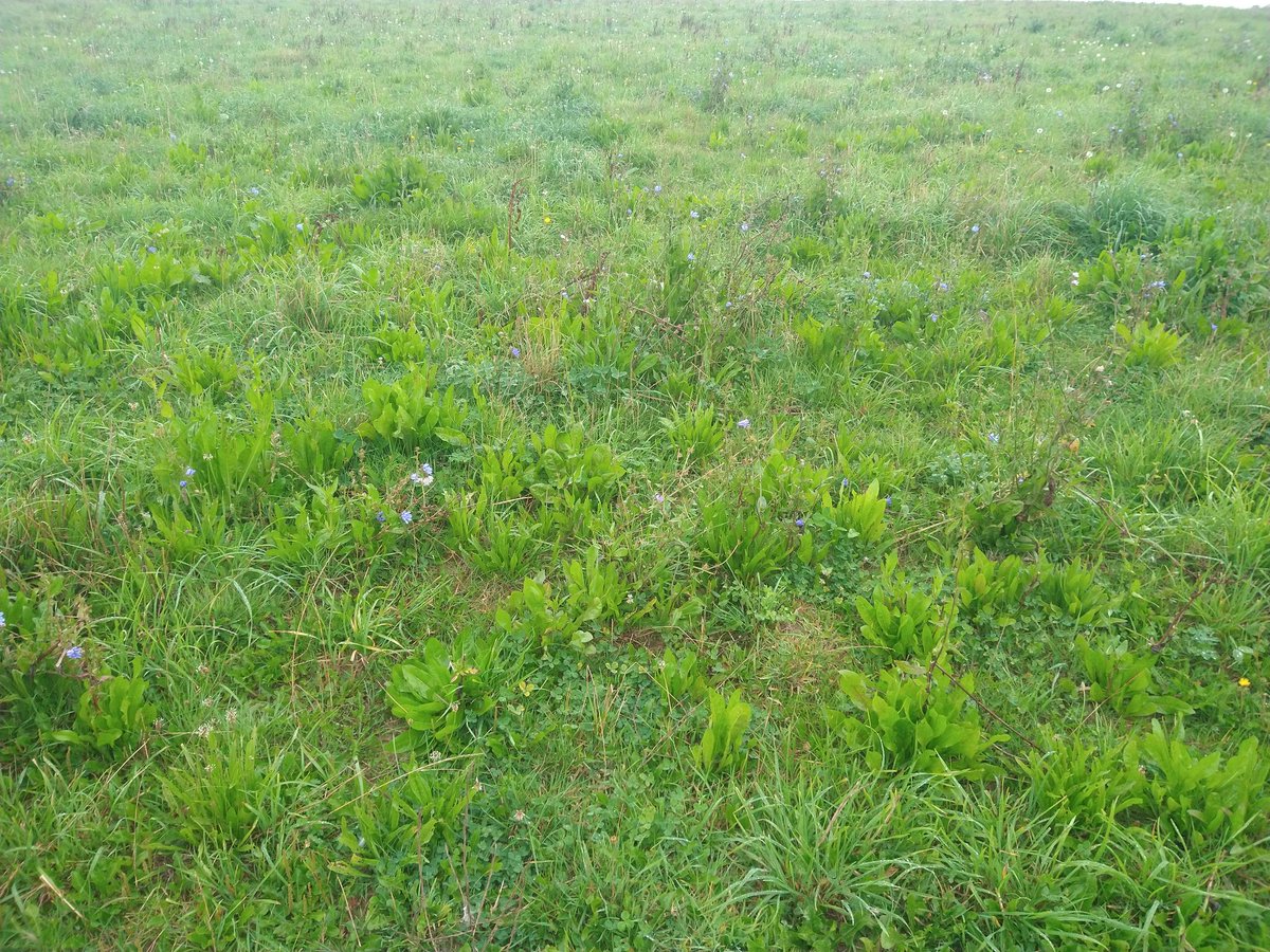 Matt Ford tweet media