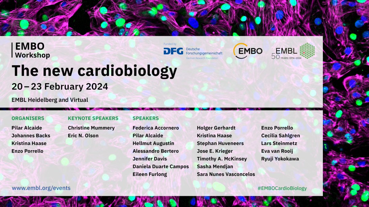 Excited to announce that registrations for the first #EMBOCardioBiology Workshop are now open. Abstract submission deadline is Nov, 28th. Great speaker lineup. Programme and practical information here : s.embl.org/ncb24-01 #CardioTwitter #CRC1550
