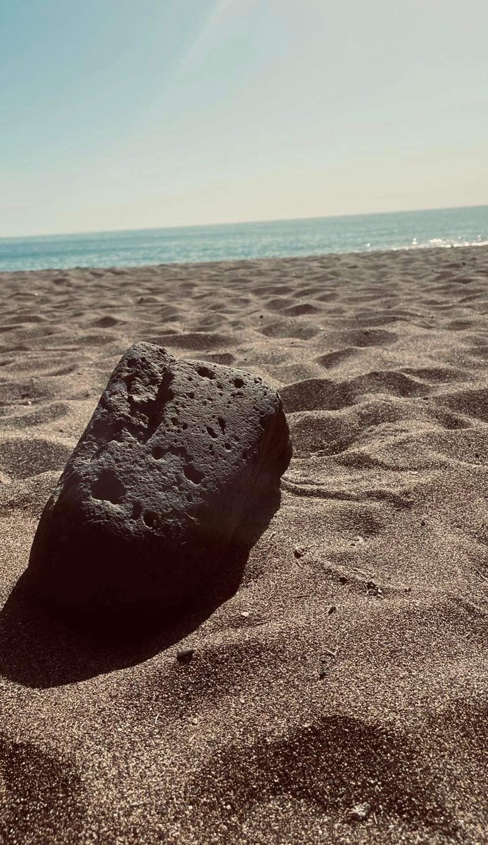 Terrie Weather Lanzarote🦋 tweet media