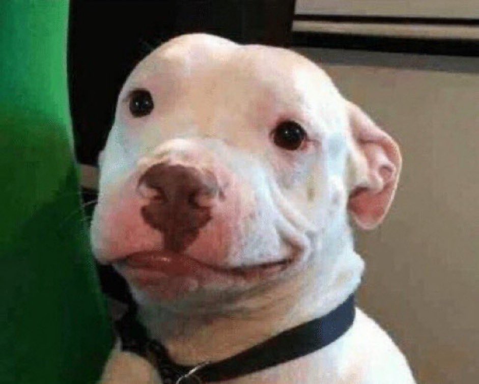 CoolDotCom__'s tweet image. walking out the door with your bags